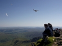 L&B snowdon birds